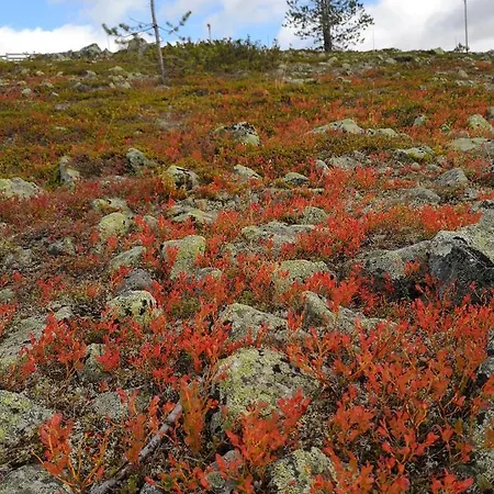 Seita Ferienhaus Levi