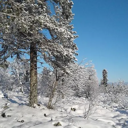 בית נופש Seita