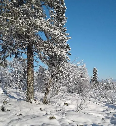 Σπίτι διακοπών Seita